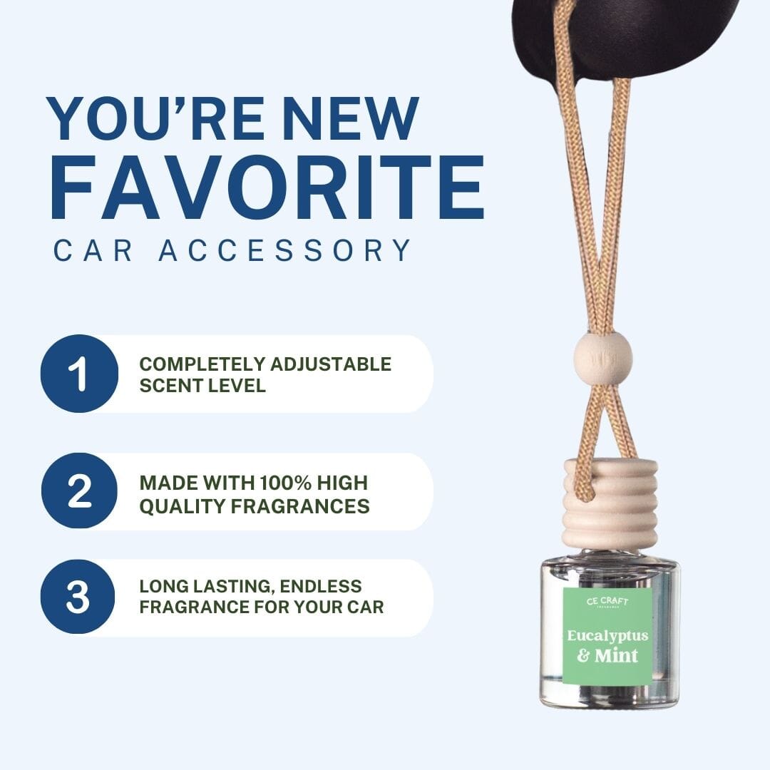 Eucalyptus & Mint Scented Car Freshener